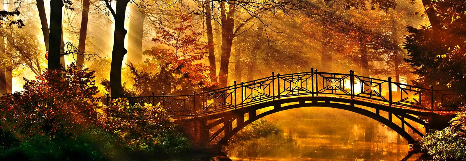 Bridge over creek in autumn